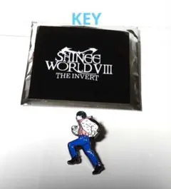 2026 SHINee WORLD VIII ランダムピンバッチ オニュ 1個 - メルカリ