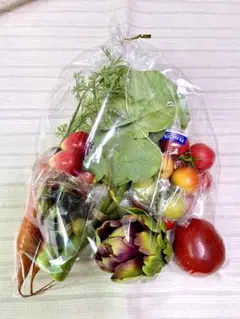 Tea様 リクエスト 2点 まとめ商品