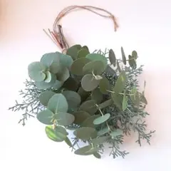 ユーカリスワッグ　ユーカリとコニファーブルーアイスのスワッグ　ドライフラワー