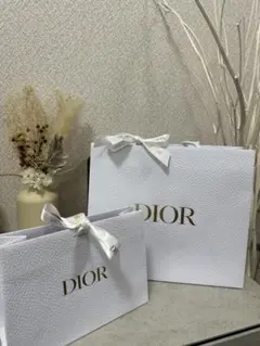 【美品】Dior ディオール ショッパー&ギフトBOX 2点セット（リボン付）