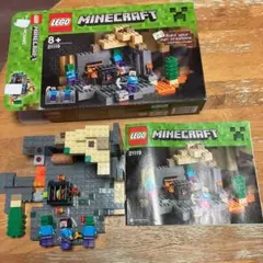 LEGO Minecraft 21119 セット、ジャンク