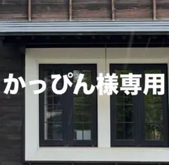かっぴん様 リクエスト 6点 まとめ商品