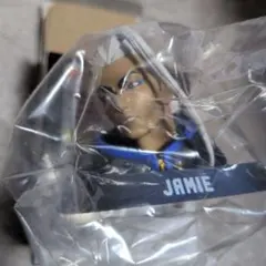 1番くじ ストリートファイター6 D賞 ヘッドフィギュア ジェイミー