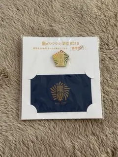 嵐 ワクワク学校 2019 ピンバッジ