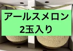 大玉　九州産アールスメロン　2玉のサムネイル