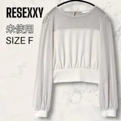 【ほぼ未使用】 RESEXXY シアー 切替 トップス ベージュ シースルー