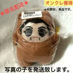 2026年最新】宇佐美時重 ぬいぐるみの人気アイテム - メルカリ