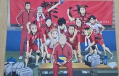 ハイキュー!!ゴミ捨て場の決戦ブロマイド