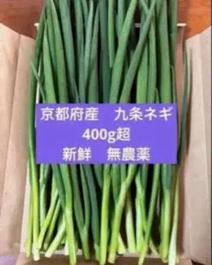 【採れたて新鮮！】京都府産 伝統野菜　無農薬　九条ネギ 400gのサムネイル