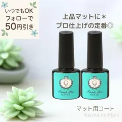 【新品】フィニッシュプロマット 2本セット＊隠れ工房GreenOcean