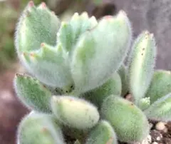 ユミコ様 リクエスト 2点 まとめ商品