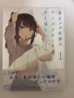 【3時間限定価格】青春ブタ野郎はサンタクロースの夢を見ない1 BluRay