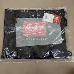 Rawlings グラブ袋 EAC14AS05 黒40×34.5cm