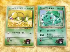 エリカのフシギダネ　エリカのマダツボミ　旧裏　初期　ポケモンカード