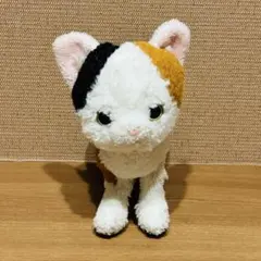 SUNLEMON サンレモン　Kitten キトン　三毛猫　ねこ　猫　ぬいぐるみのサムネイル