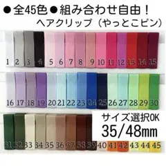 オーダーOK＊【全45色】ベビーヘアクリップ45本　35mm やっとこピン