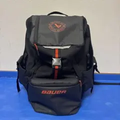 Item thumbnail for item 8f861bd1-3e6c-4b43-a5ed-2930569a3b43