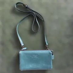 Item thumbnail for item 82411555-51ba-4afa-a9a9-5d11ded866ff