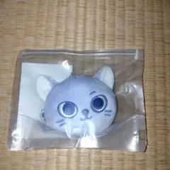 BOYNEXTDOOR BBNEXDO プネクド キーリング ケッピ ソンホ