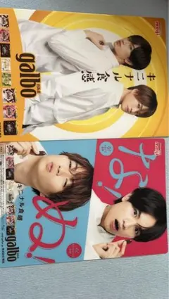 セクゾ ガルボ 非売品 ふまけん