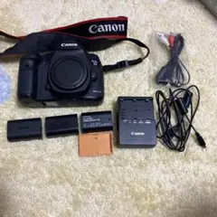 Canon EOS 5D Mark III シャッター15884回CFカード付き - メルカリ