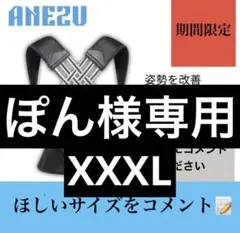 アネズ　ANEZU 2026 姿勢デバイス　猫背矯正ベルト