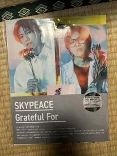 2025年最新】スカイピース グッズの人気アイテム - メルカリ