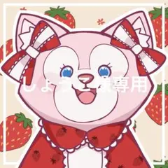 しょうこ様専用オーダーページ