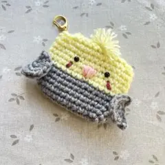 ミニポーチ　小物入れ　AirPodsケース　かぎ編み　編み物　オカメインコ