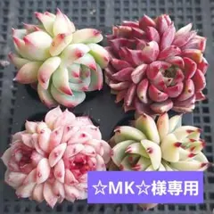 ☆MK☆ (プロフをお読み下さい)様 リクエスト 2点 まとめ商品