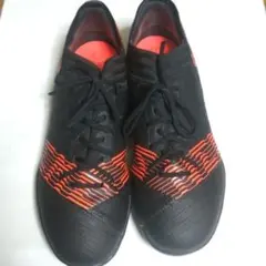 ネメシスタンゴ17.3　ネメシス19.3tf　3日まで値下げ　8000→6500 2025年最新】ネメシス タンゴ 17．3 tfの人気アイテム - メルカリ