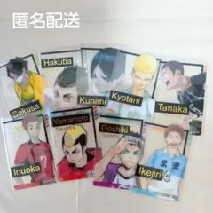 ハイキューファンパーク　箔押しクリアカード 　9枚