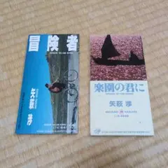 矢萩 渉 CD 2枚セット 冒険者 楽園の君に