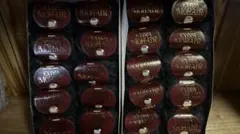 コスミックシルクウール 20玉セット