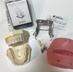 2025年最新】顎模型ホルダーの人気アイテム - メルカリ