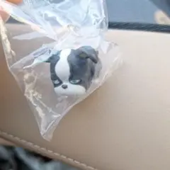 ジョジョの奇妙な冒険のイギー