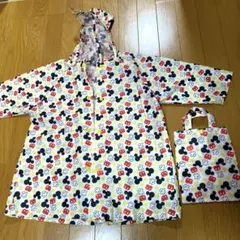 Item thumbnail for item 1d491f77-a25b-47b5-bead-1d460e8c684a