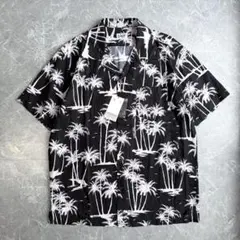 Item thumbnail for item 75783fb0-0d2e-4648-b346-02e85ac3a610