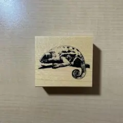 Item thumbnail for item 54b76980-cc9d-462b-936c-48037499f494