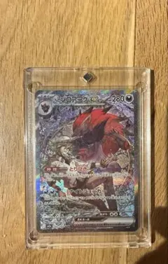 Nのゾロアークsar