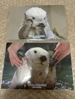 まゆ様 リクエスト 2点 まとめ商品