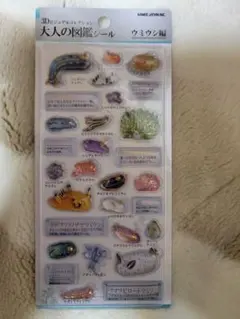 ✴️正規品✴️大人の図鑑シール3D✴️ウミウシ編✴️3Dビジュアルコレクション