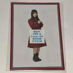 Item thumbnail for item 9e08d260-140d-4c8e-a518-98dd3360dd4f