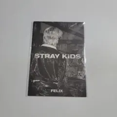 Stray Kids IN生 ミニフォトブック フィリックス FELIXのサムネイル