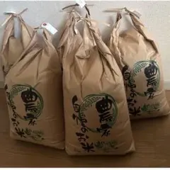 数量限定！出来立て農家直送新米 コシヒカリ玄米！約20キロ！期間限定