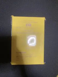 大人のおしゃれ手帳付録 SNOOPY 日めくりカレンダー カレンダー