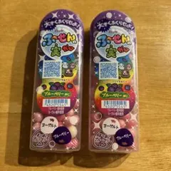 【新品未開封】ロッテ ふ〜せんの実 ブルーベリー 2個セットのサムネイル