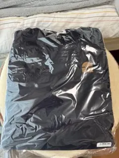 Item thumbnail for item 650930e2-de2f-4b99-b6ac-db650f262671