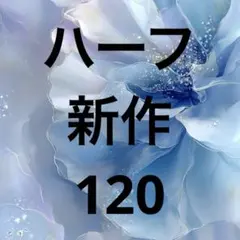 ハーフ新作 120