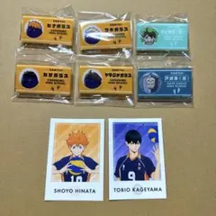 【定価以下】ハイキュー　アクリル名札クリップ　動物マスコット　宮城コンプセット
